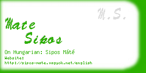 mate sipos business card