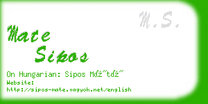 mate sipos business card